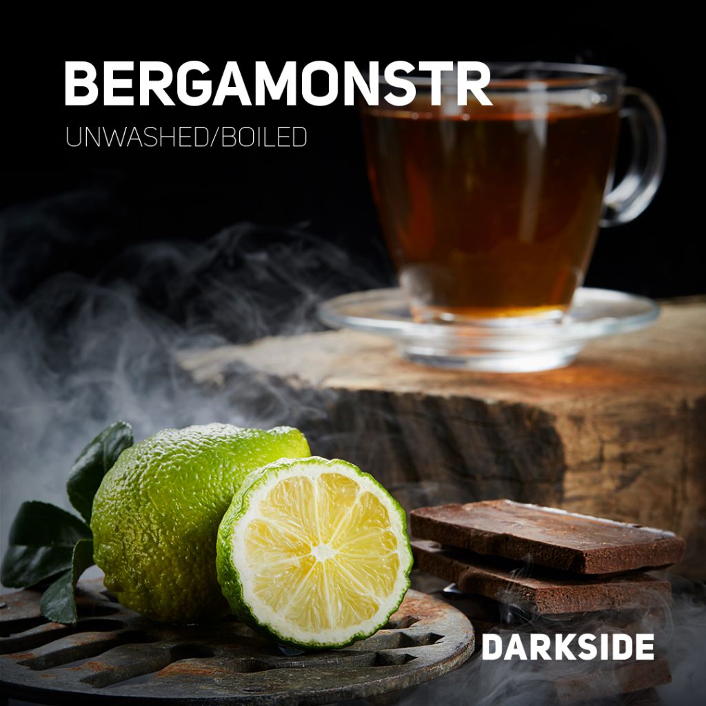 BERGAMONSTR