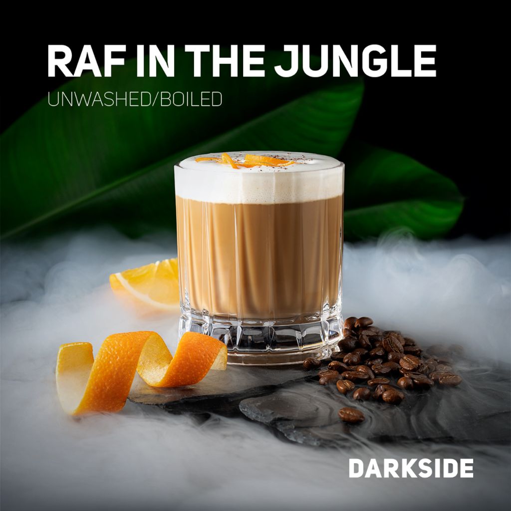 RAF IN THE JUNGLE