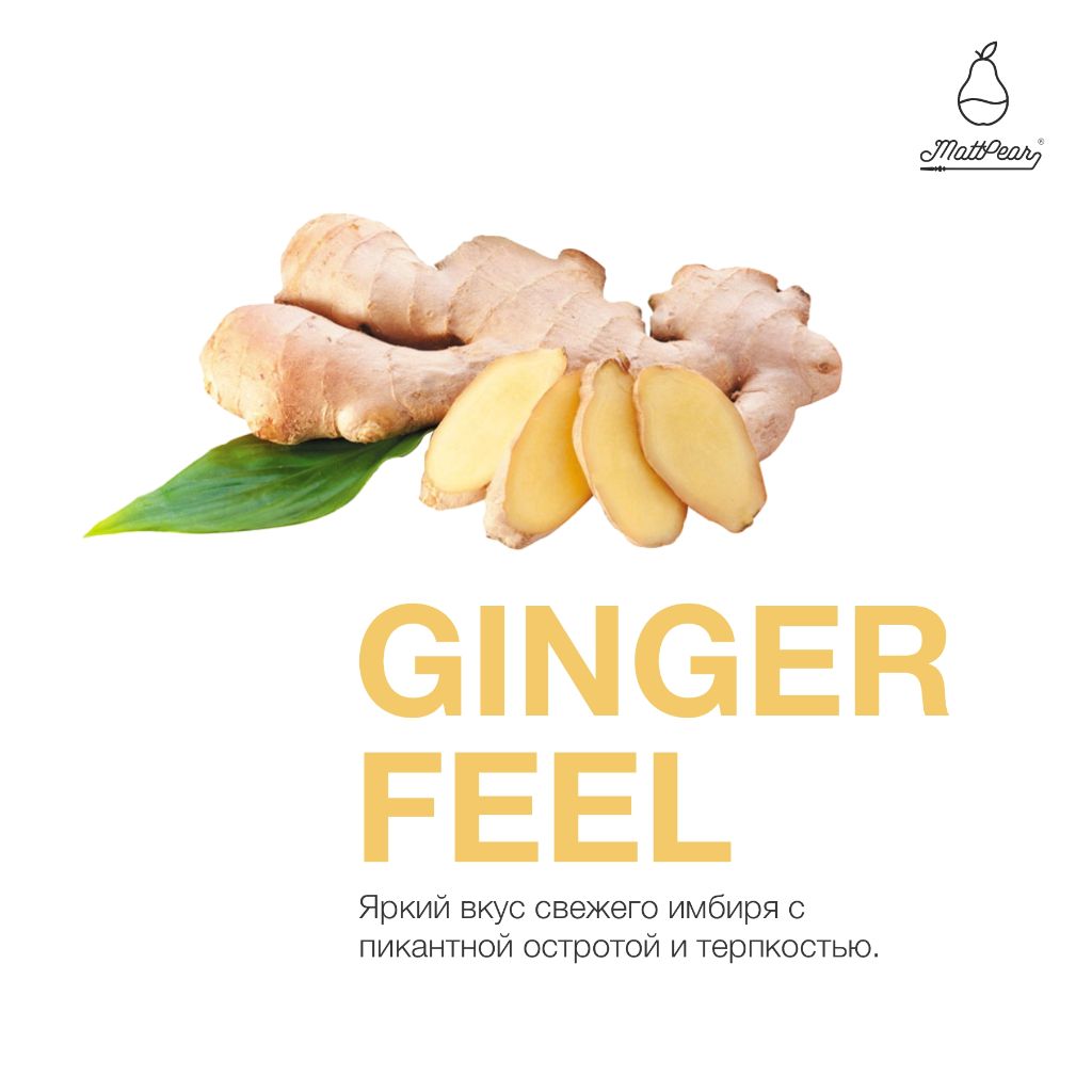 Ginger Feel