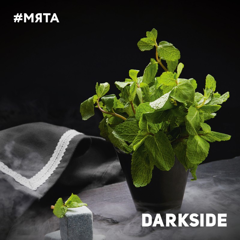 DARK MINT