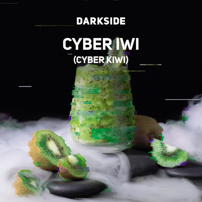 CYBER IWI